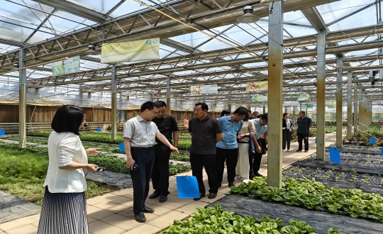 2024年6月27日，中国绿色食品发展中心有关辅导光临农业总公司调查调研_副本.jpg